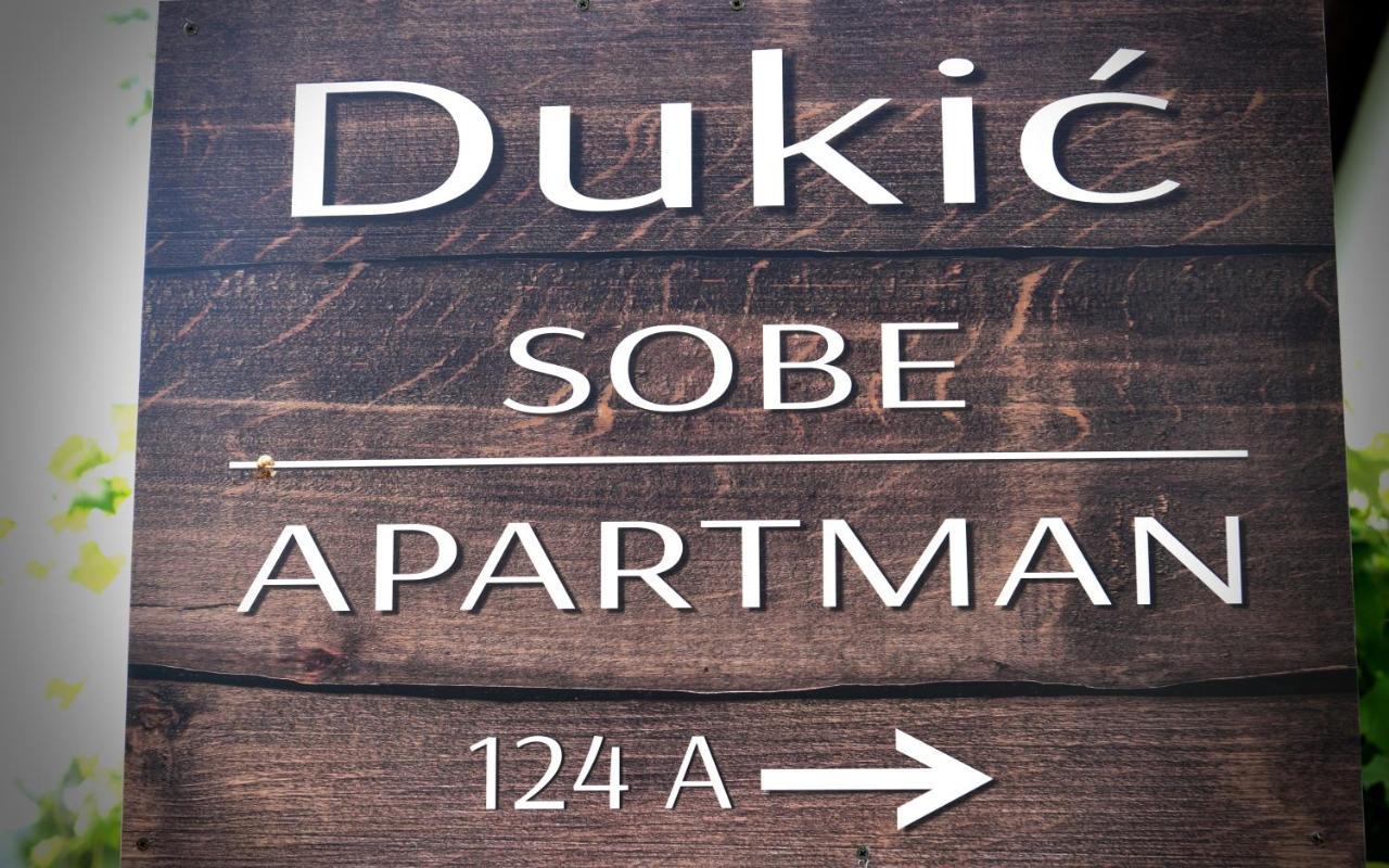 Guest House Family Dukic Rakovica Εξωτερικό φωτογραφία