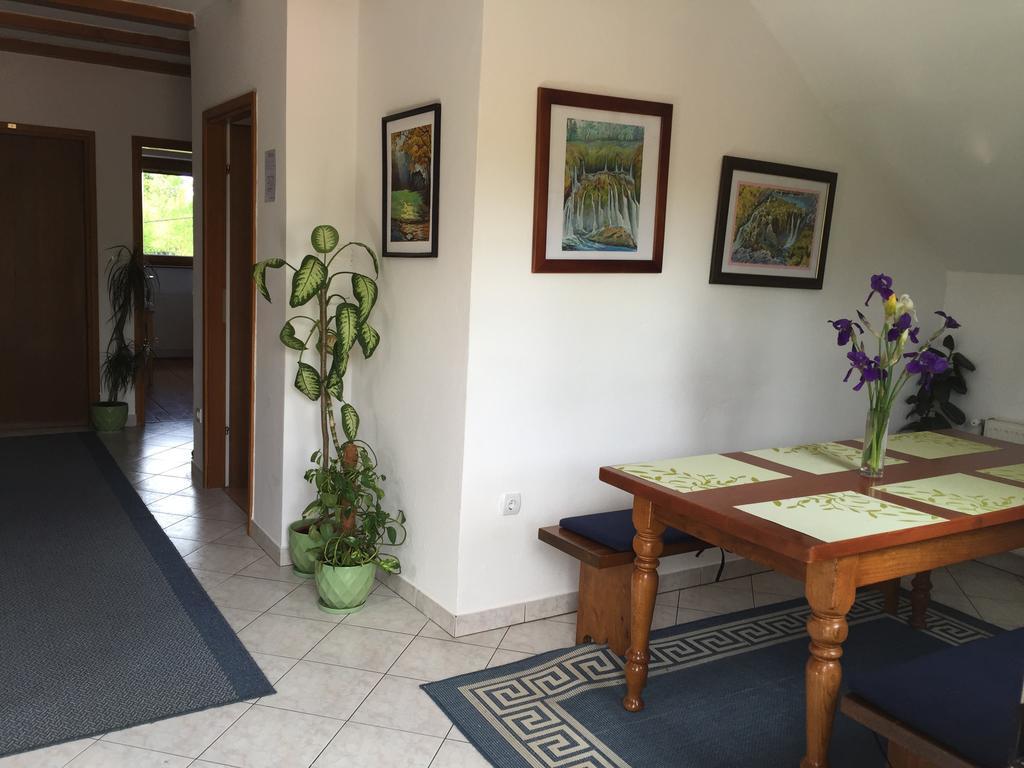 Guest House Family Dukic Rakovica Εξωτερικό φωτογραφία